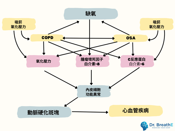 COPD-2